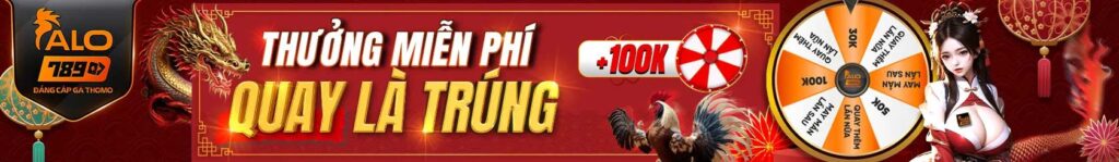 alo789-banner-1